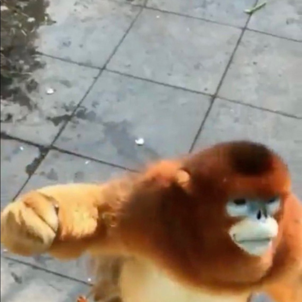 Meet your Posher, Natalie